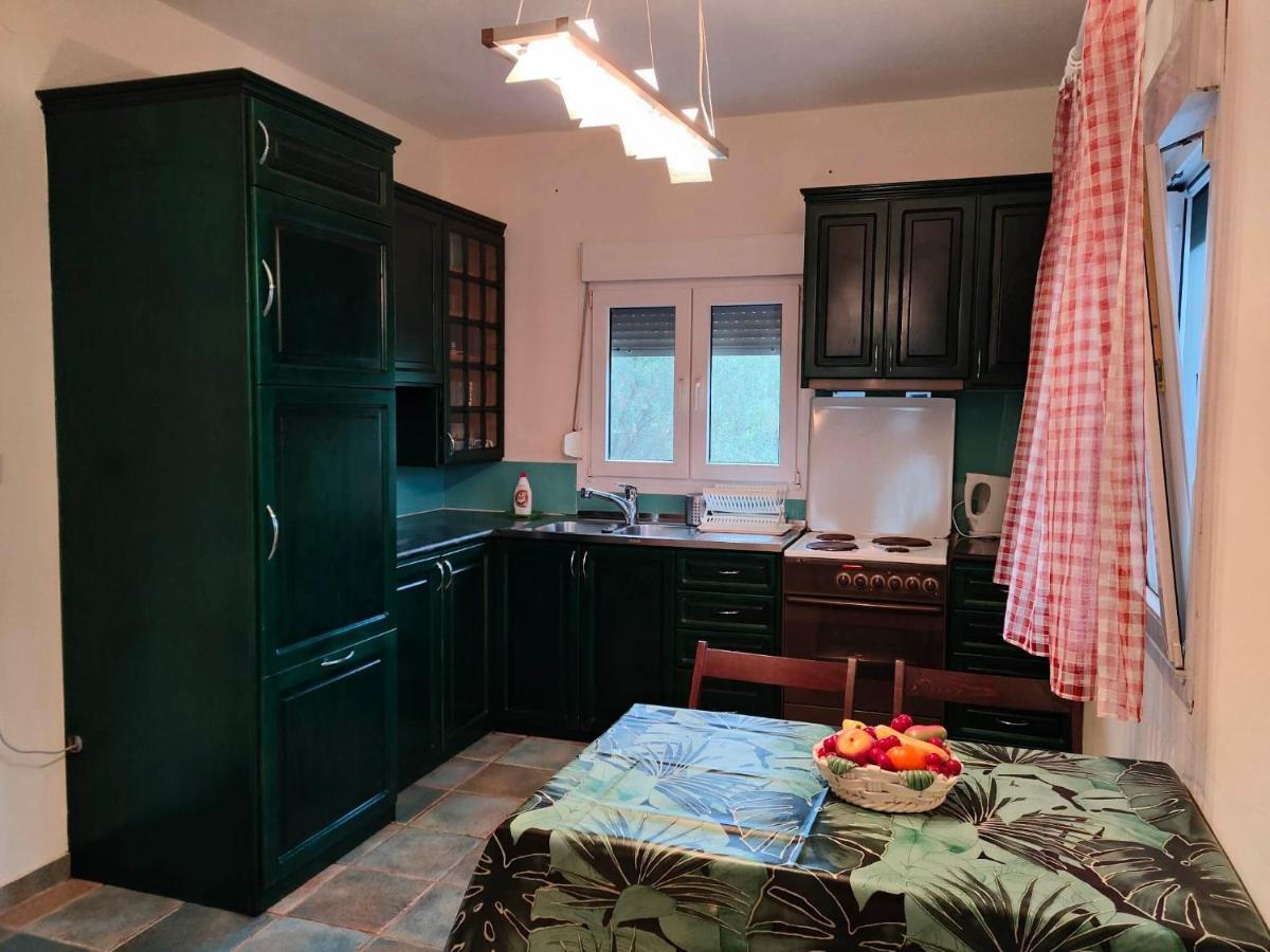 Don Bazilio Seahouse Apartment Leptokarya  Bagian luar foto